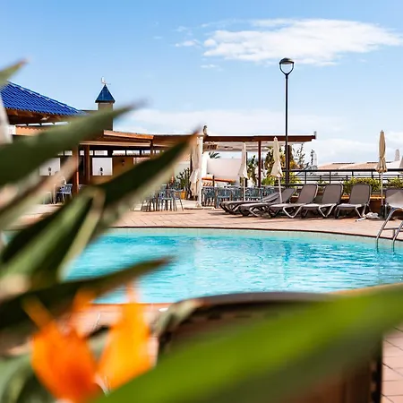 Ocean View Lejlighed *